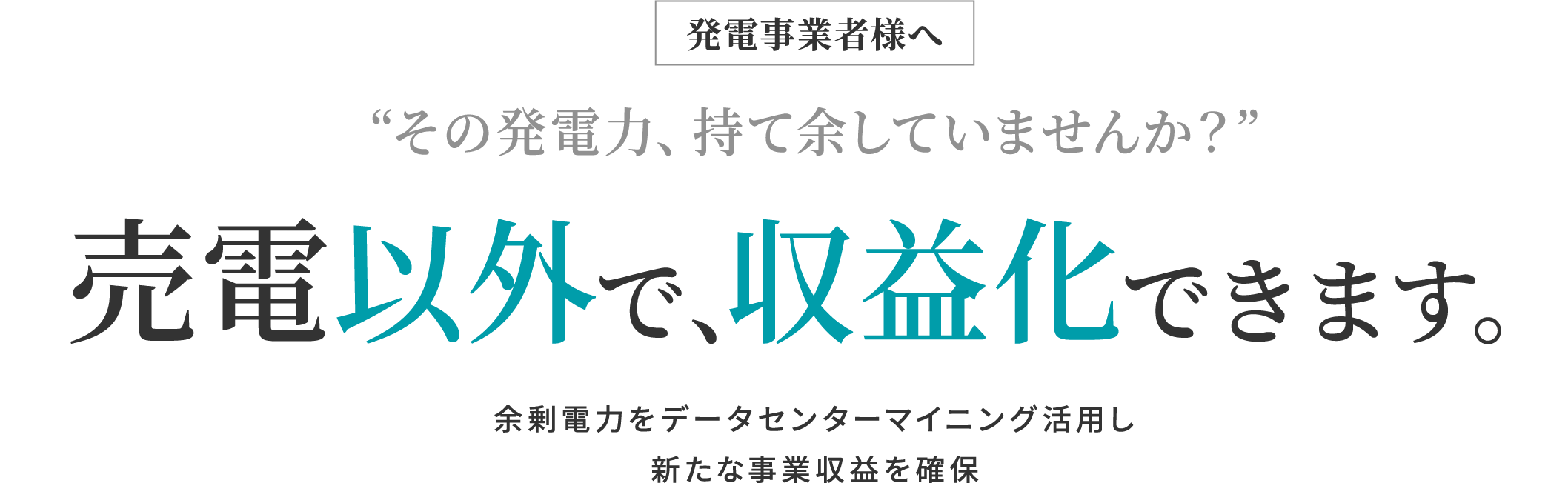 発電事業者様へ “その発電力、持て余していませんか？” 売電以外で、収益化できます。余剰電力をデータセンターマイニング活用し新たな事業収益を確保